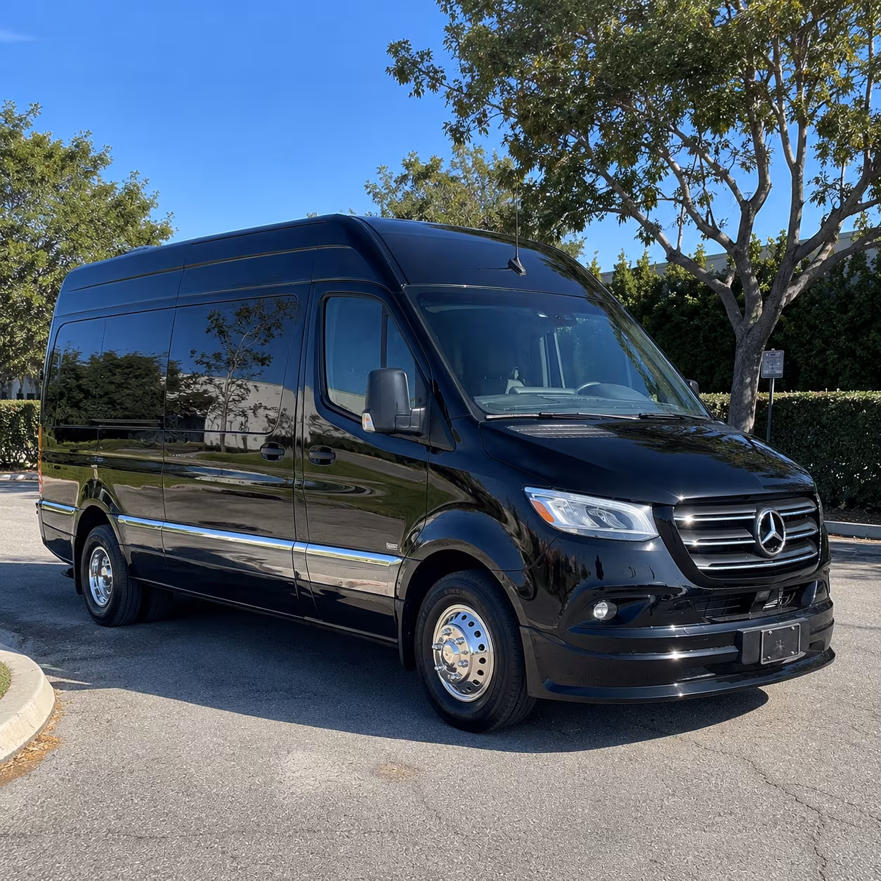 Carlsbad Birthday Transportation